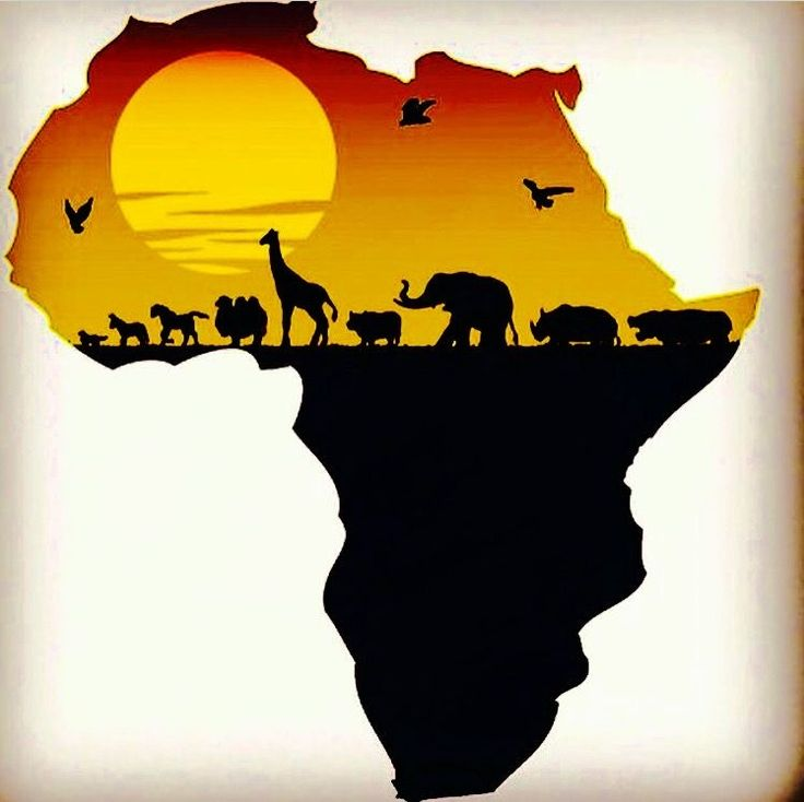 L’Afrique au fil des saisons : l’importance du contexte visuel dans vos projets